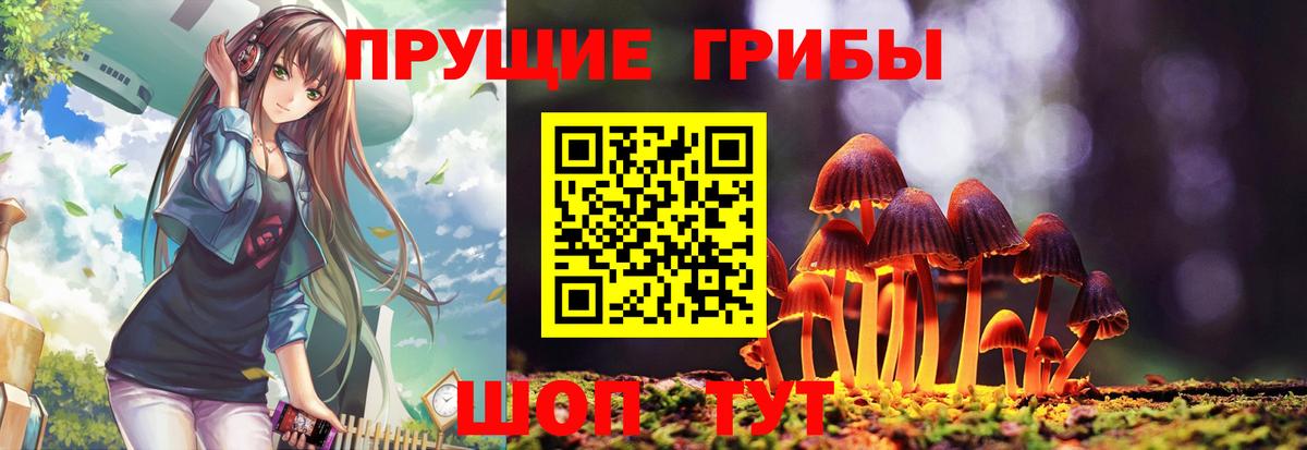 Галлюциногенные грибы GOLDEN TEACHER  Вход с VPN  Галлюциногенные грибы MAGIC MUSHROOMS  Берёзовский 