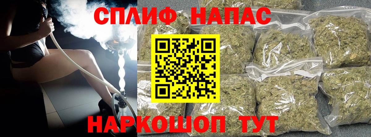 Бошки Шишки план Берёзовский